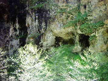 Köbizera