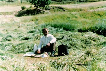 Abdullah Kurtuluş / Süles
