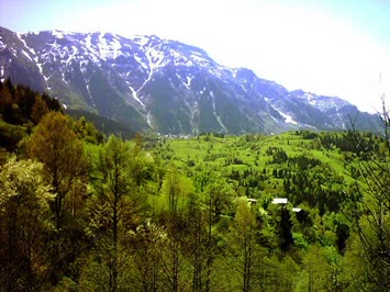 KÖYDEN BİR GÖRÜNÜM