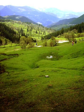 MAHALLE