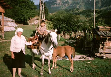 AT SEFASI