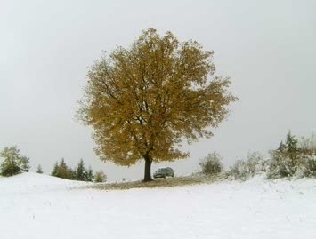 köyde ekim ayinda kis manzarasi