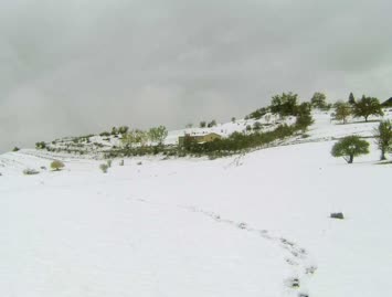 zirabul caddesi