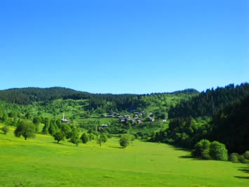 Genel Görünüm  / Meşeli (Dabascrul)