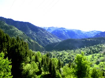 Kaç / Meşeli (Dabascrul)