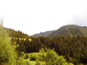 Sırtlar
