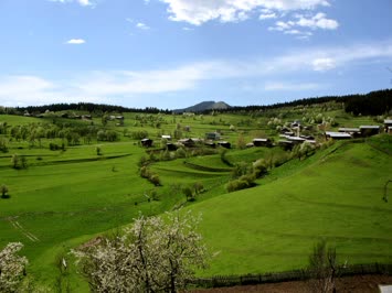 Bayraktarlar Mahallesi / Meşeli (Dabascrul)