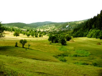 Meşeli