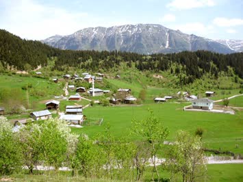 Bayraktarlar