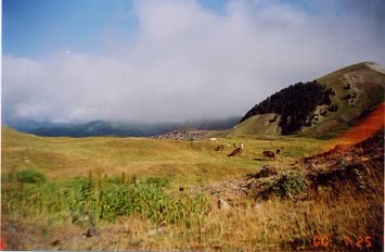 Arsiyan Yaylası
