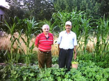 AMCAM ENİŞTEM