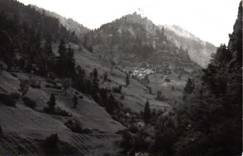 Yılmaz Özışık