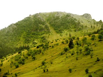 Sırtlar