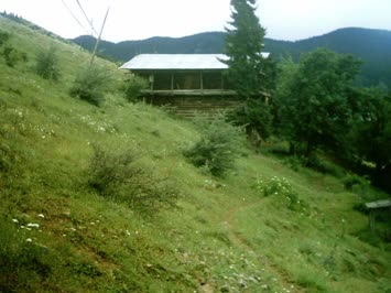 Şenol Boz