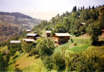 Hohlevi - Arif Erol