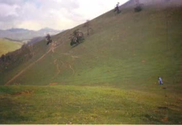 Hohlevi