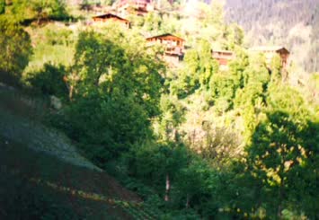 Hohlevi