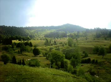 Burnala ve Kokola