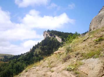 Ziyaret