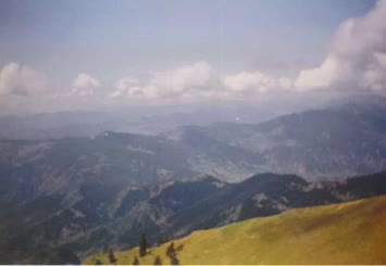 Hohlevi