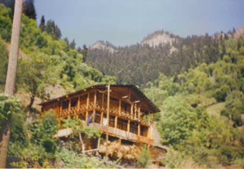 Hohlevi