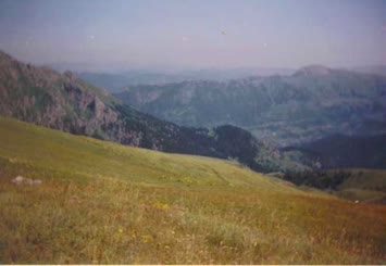 Hohlevi