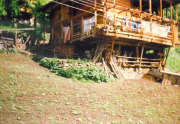 Hohlevi