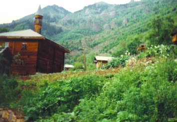 Hohlevi