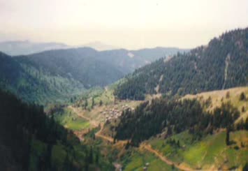 Hohlevi
