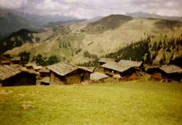 Hohlevi