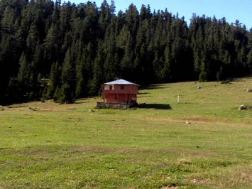 avcala