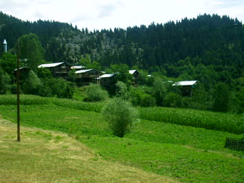 Cami Mahallesi