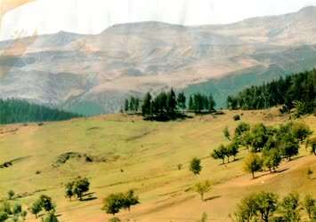 09.03.2006 gobiyanta