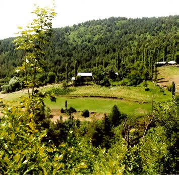 Morgel / Calacalat