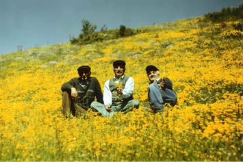 Emirhan Altun Galeri
