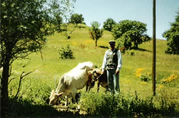 Erşan Altun