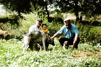Erşan Altun-Şentürk Kaya-kucakta Öykü