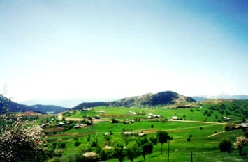 sedasimsek