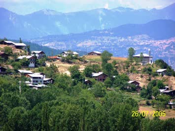 Şener Şavşatlı-Arpali Camisi-1