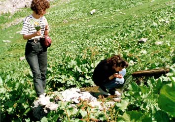 Çoraklı