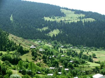 Yakin Mahalle Mamogil / Uzak Mahalle : Harşogil / Tibet / Cevizli Köyü