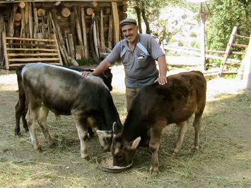 Volkan Demirpehlivan