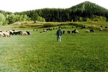 Çisvet - Atalar Galeri