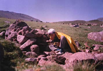 çobanlıkta- punğarın başi