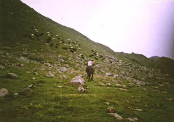 ağgölün üstü