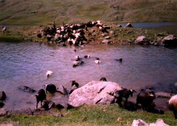 ağgöl sahilinden yaz manzarası