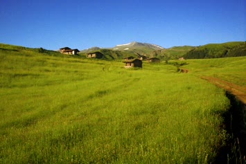 Arpali Aşagı Yayla