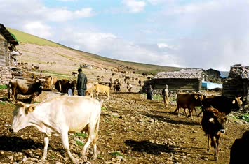 Cindağı