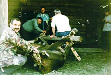 1996- Sükrü Gümüş Öküz Cakarken