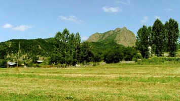 Çamiyara
